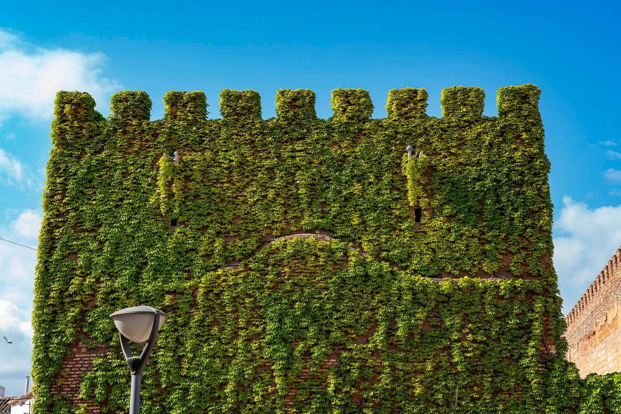 Castillo De Pilas Bonas Manzanares Esterno foto