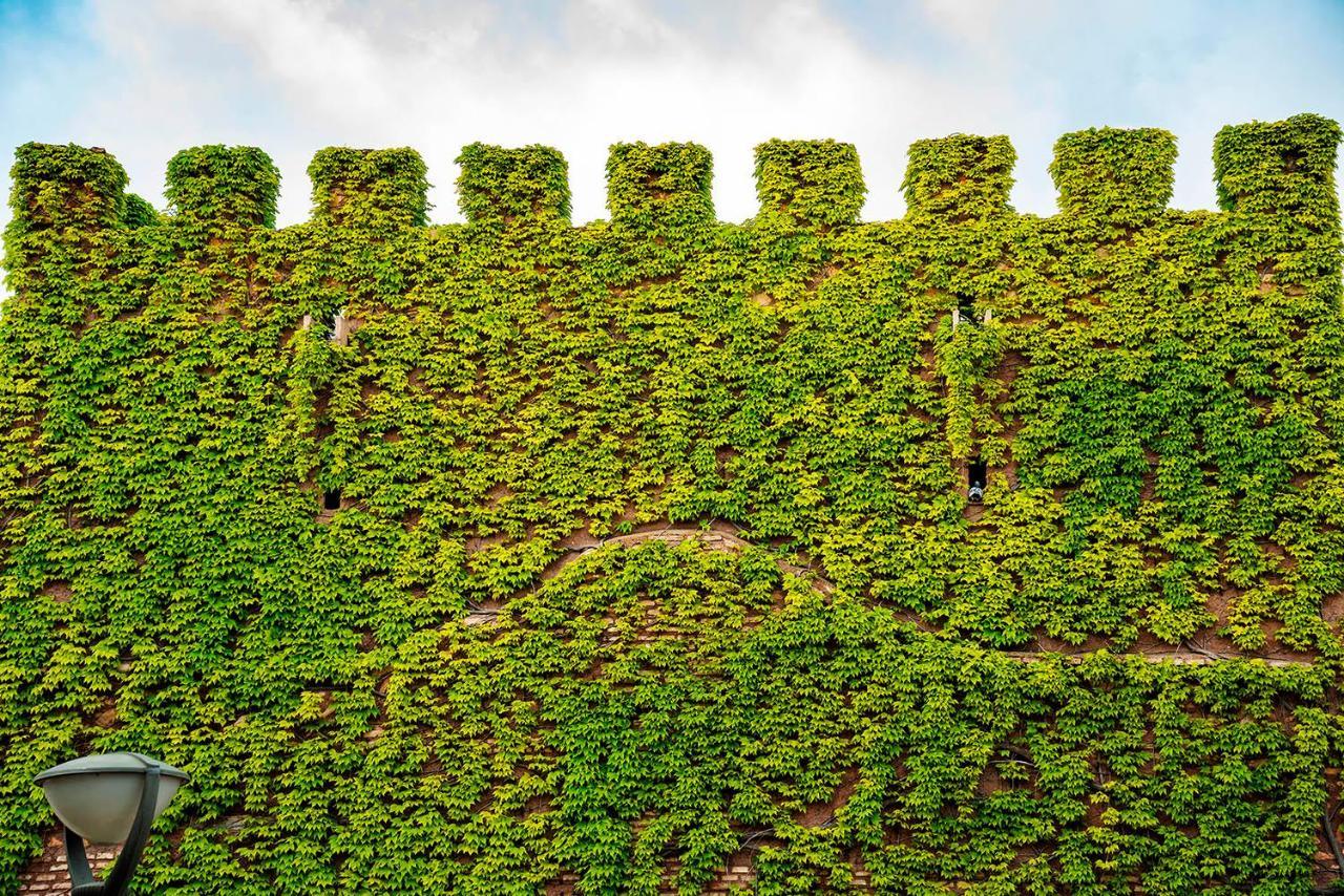 Castillo De Pilas Bonas Manzanares Esterno foto